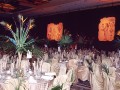 Entertainment / Corporate Event Gala.